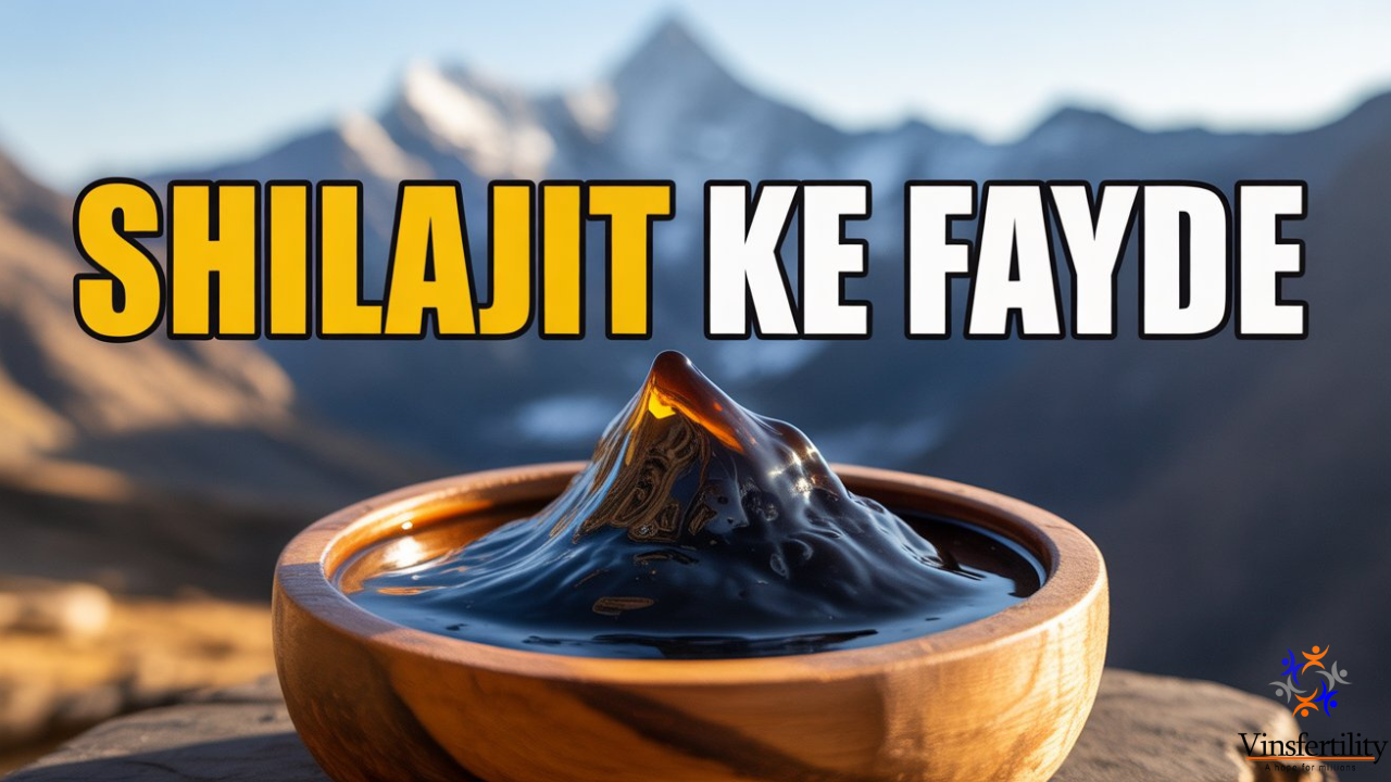 शिलाजीत﻿ के चमत्कारी फायदे | जानिए Patanjali, Dabur और Kapiva के असली शिलाजीत﻿ सस्ते दामों में